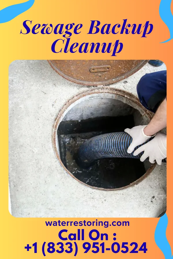 Sewage Backup Cleanup in McClure, PA